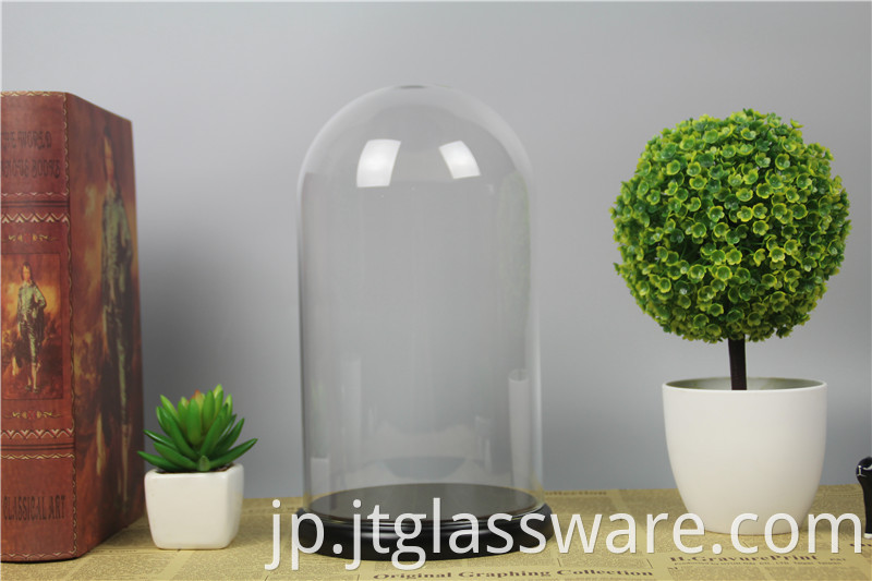 glass dome D15 x H26cm